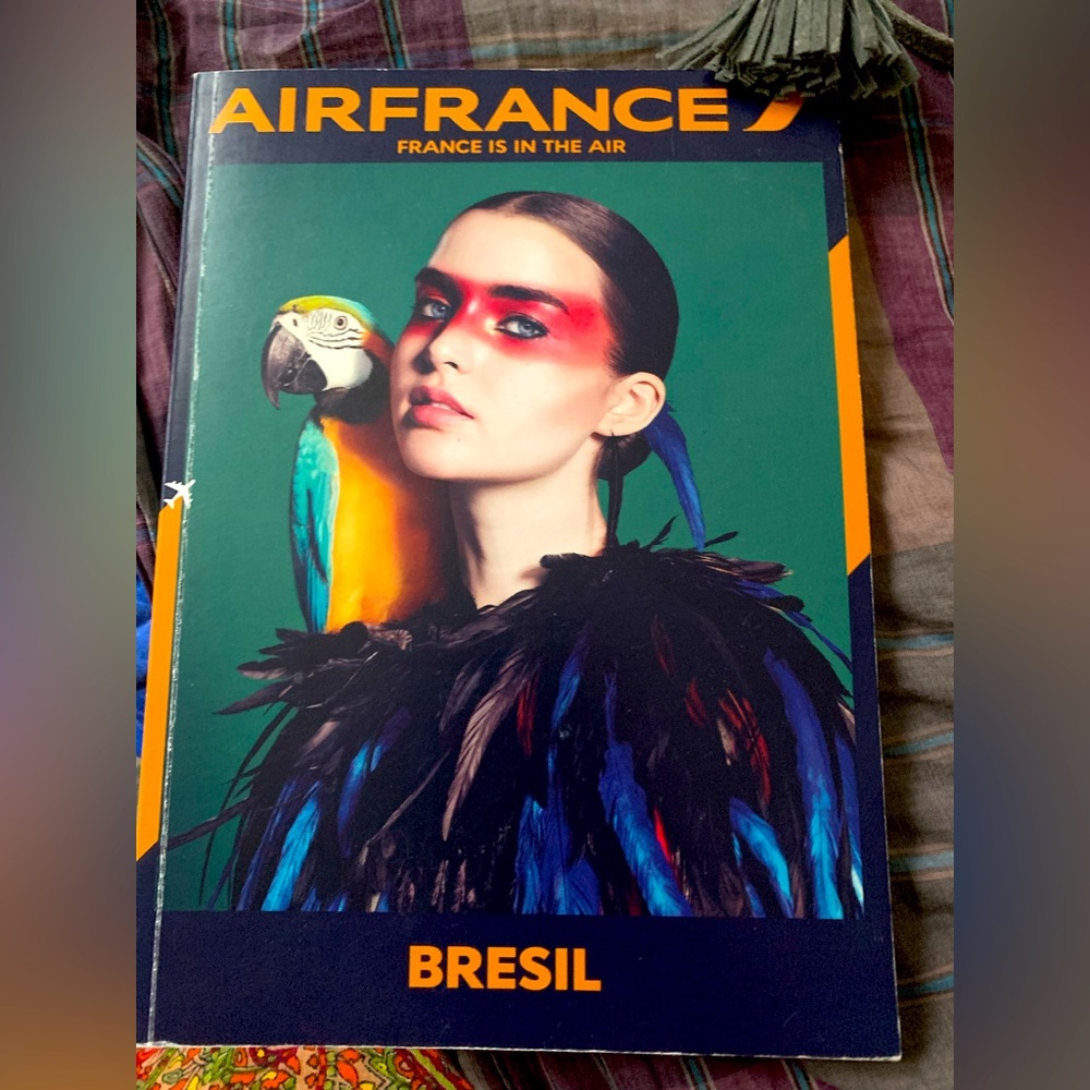 Air France Brésil Poster with Parrot Journal/Travel Notebook